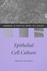 Epithelial cell culture by Ann Harris