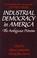 Cover of: Industrial Democracy in America