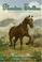 Cover of: Phantom Stallion #17