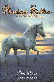 Front cover of Phantom Stallion #20 by Terri Farley