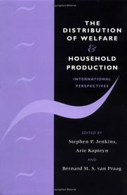Cover of: The distribution of welfare and household production: international perspectives