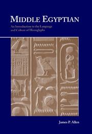 Cover of: Middle Egyptian by James P. Allen