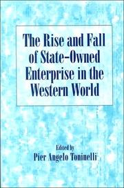 The Rise and Fall of State-Owned Enterprise in the Western World (Comparative Perspectives in Business History) by Pier Angelo Toninelli
