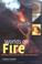 Cover of: Worlds on fire