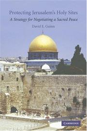 Protecting Jerusalem's Holy Sites by David E. Guinn