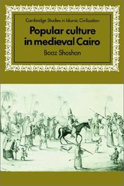 Cover of: Popular Culture in Medieval Cairo (Cambridge Studies in Islamic Civilization)