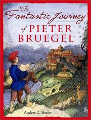 Cover of: The Fantastic Journey of Pieter Bruegel by Anders C. Shafer, Anders C. Shafer