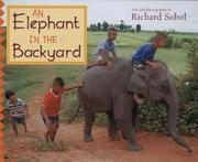 Cover of: An An Elephant in the Backyard
