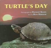 Cover of: Turtle's Day