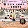 Cover of: Hidden under the ground