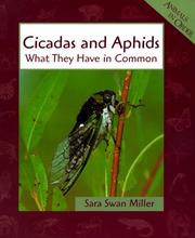 Cicadas and aphids