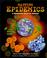 Cover of: Mapping Epidemics