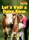 Cover of: Let's Visit a Diary Farm