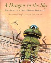 Cover of: Dragon In The Sky