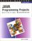 Cover of: Java Programming Projects