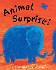 Cover of: Animal Surprise