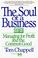 Cover of: The Soul of a Business