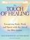 Cover of: The touch of healing