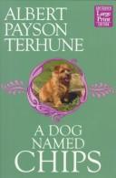Cover of: A dog named Chips by Albert Payson Terhune