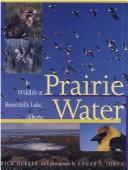 Cover of: Prairie water: wildlife at Beaverhills Lake, Alberta
