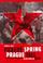 Cover of: Prague spring, Prague fall