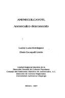 Anenecuilcayotl by Lucino Luna Domínguez