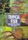 Cover of: Tropical fish