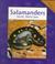 Cover of: Salamanders