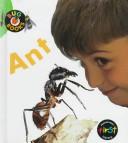 Ant