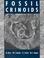 Cover of: Fossil crinoids