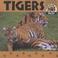 Cover of: Tigers