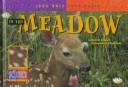 Cover of: In the meadow by David M. Schwartz