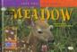 Cover of: In the meadow