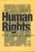 Cover of: The evolution of international human rights