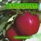 Cover of: Manzanas