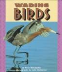 Cover of: Wading birds by Anne Welsbacher