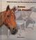 Cover of: Horses past and present