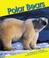 Cover of: Polar bears