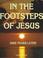 Cover of: In the footsteps of Jesus