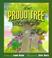 Cover of: The proud tree