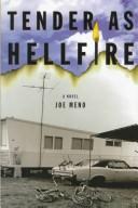Cover of: Tender as hellfire by Joe Meno