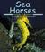 Cover of: Sea horses