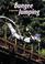 Cover of: Bungee jumping