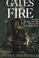 Cover of: Gates of fire