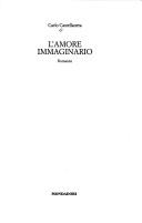 Cover of: L' amore immaginario: romanzo