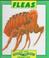 Cover of: Fleas