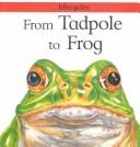 Cover of: From tadpole to frog by Stewart, David, David Stewart