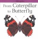 from-caterpillar-to-butterfly-cover