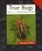 Cover of: True bugs