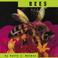 Cover of: bee